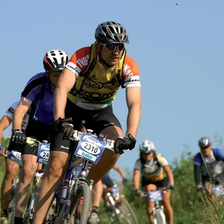 Holiday home Schwedenhaus Uplandalm Willingen (Upland)