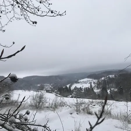 Ferienhaus Schwedenhaus Uplandalm Willingen *