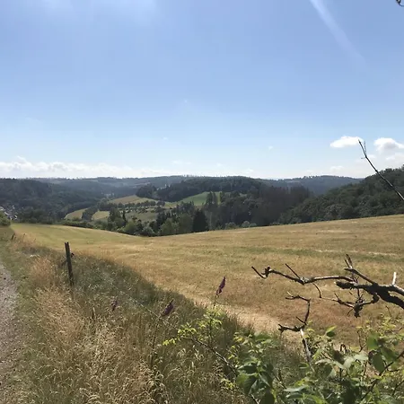 Schwedenhaus Uplandalm * Willingen (Upland)