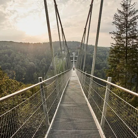Schwedenhaus Uplandalm Willingen (Upland)