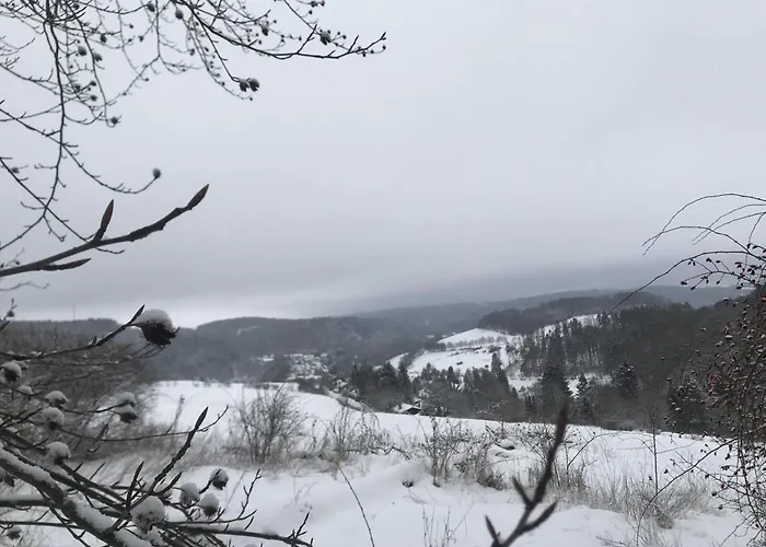 Tatil Evi Schwedenhaus Uplandalm Willingen (Upland)