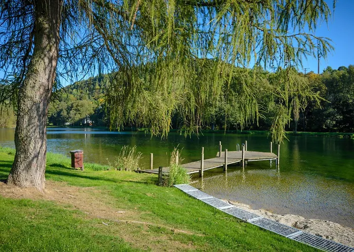 Schwedenhaus Uplandalm Tatil Evi Willingen (Upland)