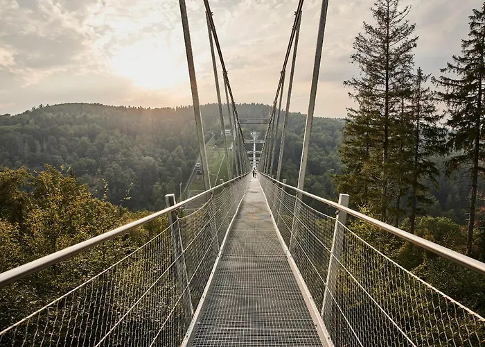 Schwedenhaus Uplandalm Willingen (Upland)